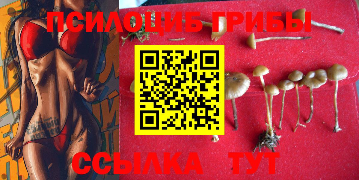Назрань  Псилоцибиновые грибы MAGIC MUSHROOMS  Псилоцибиновые грибы GOLDEN TEACHER  Вход с VPN 
