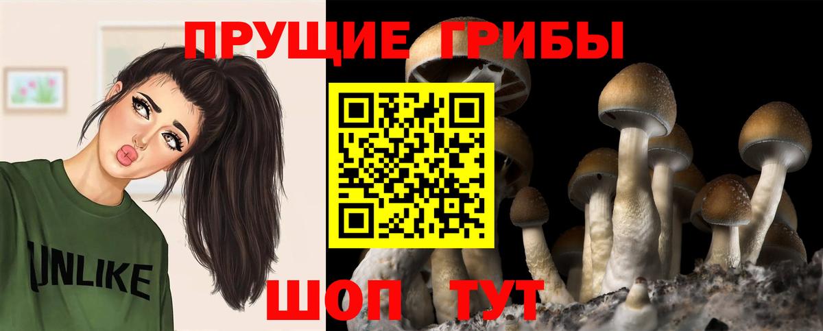 Псилоцибиновые грибы ЛСД Назрань