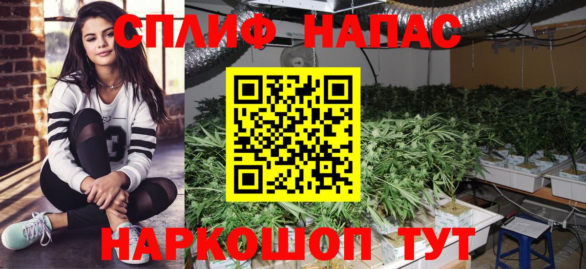 Марихуана Ganja  Шишки марихуана конопля  Вход с VPN  Конопля Bruce Banner  Назрань 
